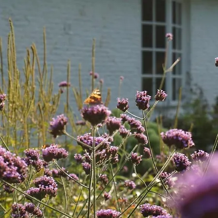 Holiday home Het Witte Kasteel *