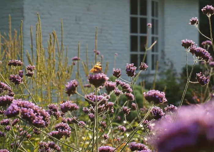 Prázdninový dům Het Witte Kasteel *