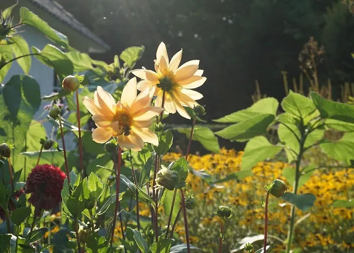 Het Witte Kasteel Prázdninový dům *